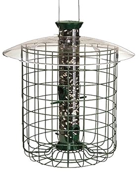 Droll Yankees Sdc Green Wild Bird Feeder With Domed Cage Amazon