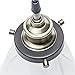 Globe Electric Jackson 1-Light Pendant 3-Pack, Antique Brass & Bronze, Black Cord, Glass Shade,65207, Bulb Not Included