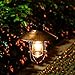 Outdoor Hanging Solar Lantern Light Solar Lamp with Warm White fliament Bulbs for Garden Yard Pathway (Copper)