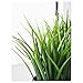 Ikea Artificial Potted Plant Wheat Grass 9