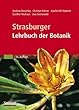 Straßburger Lehrbuch   der Botanik