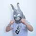 Donnie Darko FRANK the Bunny Rabbit MASK Latex Overhead With Fur Halloween Prop