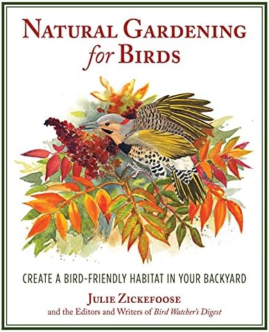 Amazon.com: Letters From Eden: A Year at Home, in the Woods 