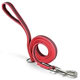 Unique Non-Slip Dog Leash for Walking Training Running,Long Nylon Rope Dog Leash for Large and Small Puppy or Cat,Pet Accessories by Bondpaw(Red)