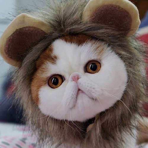 Halloween pet headwear,Lion Mane Wig for Cat Dog Accessories,Adjustable Washable Comfortable Fancy Lion Hair kitty puppy Ears cute Beauty decoration for Christmas Party (M, Brown)