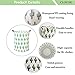 CLOCOR Large Round Storage Bin Collapsible Cactus Storage Basket Clothes Laundry Hamper Toy Bins Gift Baskets (Cactus)