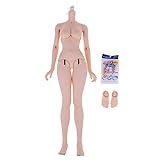 Fityle Movable 14 Joints Large Chest Female Nude
