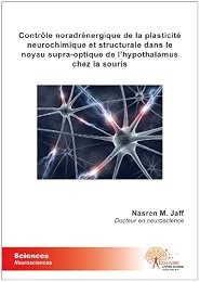 Contrôle noradrénergique de la plasticité neurochimique et structurale dans le noyau supra-optique de l'hypotalamus chez la souris