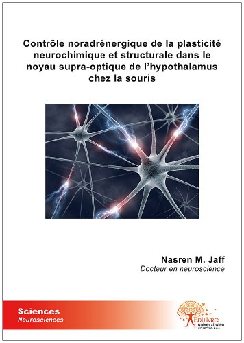 Contrôle noradrénergique de la plasticité neurochimique et structurale dans le noyau supra-optique de l'hypotalamus chez la souris