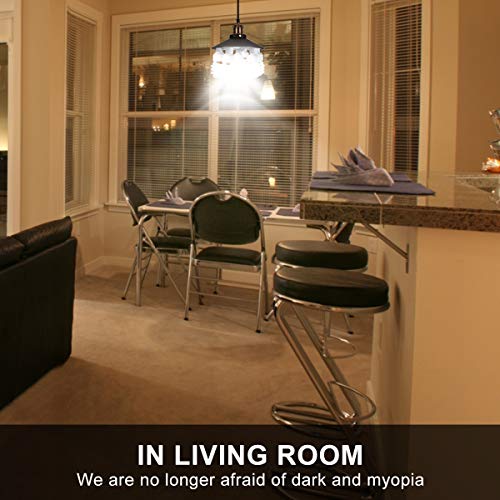 4 8T8+Splitter+Standard+Converter+Commercial