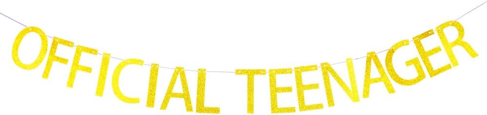Succris Official teenager banner for 13th birthday party decorations