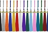 Graduation Year Tassel / Charm,