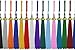 Graduation Year Tassel / Charm,
