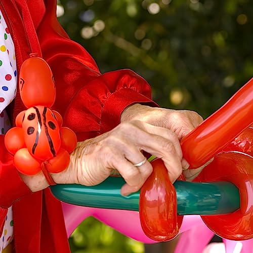 3 otters 155PCS Modelling Balloons with Pump, Twisted Balloons Long Balloons 260q Balloons Animal Balloons for Kids Birthday Party Wedding Christmas Magic Clown Show 17 Assorted Colors