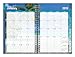 Blue Sky 103718 2018 Weekly & Monthly Planner, Twin-Wire Binding, 5