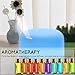 YIDIOLA Top 10 Essential Oils Set, 100% Pure Lavender,Peppermint,Eucalyptus,Tea Tree,Rosemary,Lemongrass,Sweet Orange,Sandalwood,Jasmine,Grapefruit Oils, w/2 Glass Droppers