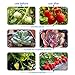 Grow Light for Indoor Plants 50W 96 LED Full Spectrum Plant Lights, Auto On/Off 3/6/12H Timer 5 Dimmable Levels 3 Switch Modes Dual Head Desk Growing Lamp for Gardening Seedling Succulent Hydroponic