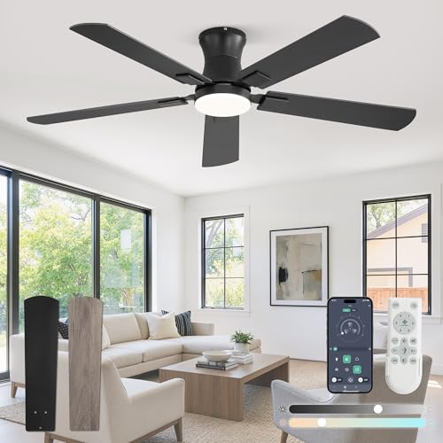 Fanbulous Modern Ceiling Fan