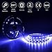 LE 12V LED Strip Light, Flexible, SMD 2835, 300 LEDs, 16.4ft Tape Light for Home, Kitchen, Party, Christmas and More, Non-waterproof, Blue, Pack of 2
