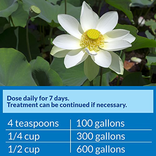 API Pond Pimafix Fish Infection Remedy, 16 fl. oz.