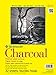 Strathmore 300 Series Charcoal Paper Pad, Top Wire Bound, 18x24 inches, 24 Sheets (64lb/95g) - Artist Paper for Adults and Students - Charcoal and Pastel