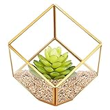 HOMEIDEAS Modern Gloden Geometric Terrarium Metal Faceted Tabletop Succulent Plants Holder Glass Air Plant Holder(Golden)