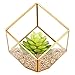 HOMEIDEAS Modern Gloden Geometric Terrarium Metal Faceted Tabletop Succulent Plants Holder Glass Air Plant Holder(Golden)