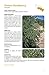 Sonoran Desert Food Plants:: Edible Uses for the Desert's Wild Bounty