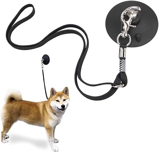 dog bathing tether