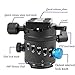 Gemtune DH-55 Panoramic Ball Head Tripods Head with Indexing Rotator, with Quick Release Plate &Clamp.