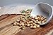 Nuttee Bean Favalicious Fava Bean Snacks - Roasted Fava Beans, Vegan Plant Based Snacks, Healthy Snacks for Adults and Kids, Variety Pack 2oz (Pack of 12)