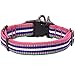 Blueberry Pet Safety Dog Collar with Dual D-Rings | 3M Reflective Multi-Colored Adjustable Collar in Pink, Emerald and Orchid | Soft Nylon Dog Collar for Active Small Dogs