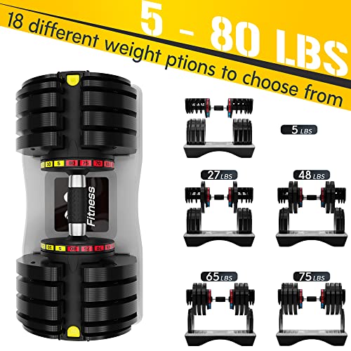 Merax Deluxe 580 LBS Adjustable Dumbbell for Home Gym, Adjustable Weights Dial Dumbbell with