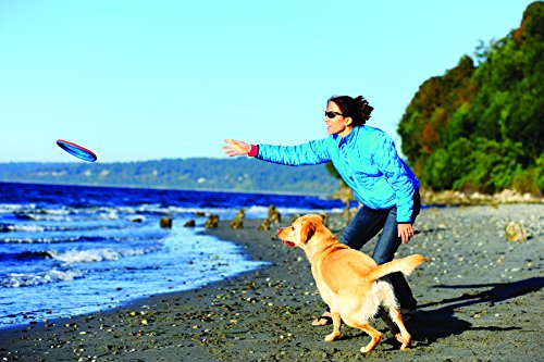 Chuckit! Paraflight Flying Disc Dog Toy - Water Floating Flyer - Durable Nylon Construction with Soft Rubber Edges - For Medium and Large Dogs - Size Large - 9.75