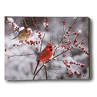 BANBERRY DESIGNS Cardinal Canvas Print - LED Lighted Print with Cardinals and Berries - Winter Scene Artwork - Cardinal Pictures