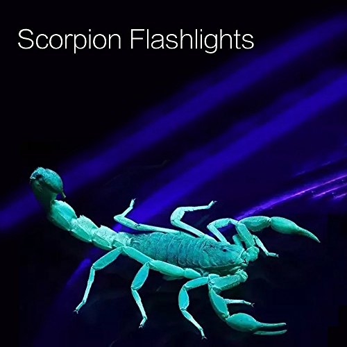 image for GLBSUNION UV Flashlight Black Light UV Lights , 68 LED 395 NM Ultravio