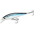 LUCKY CRAFT Pointer 65SP, Fishing Jerkbait Side by Side Action Lure, Tournament Winning Perfect Wobbling Pond Fishing River Trout Fishing Tackle, Freshwater Bass