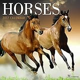 2017 Horses Wall Calendar by 