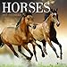 2017 Horses Wall Calendar by 