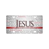 Jesus Quotes Christian Quotes License Plate Cover for Car (new)