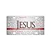 Jesus Quotes Christian Quotes License Plate Cover for Car (new)