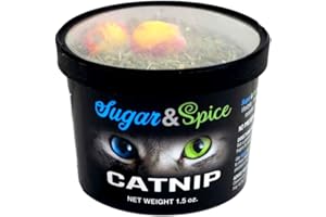 Chewmax Sugar & Spice Catnip for Cats and Kittens - 1.5 Ounce Tub | 100% All Natural Organic Dried Cat Nip | No Preservatives, Maximum Potency, Grown & Harvested in USA