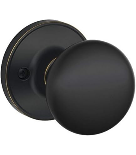 ⑩ 道楽　dowluck Dexter by Schlage J10STR716 Stratus Hall and Closet Knob