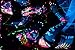 UV Body Paint (7 x 0.75oz) Black Light Paint Black Light Makeup Bodypainting Neon Body Paint UV Blacklight Glow Face Paint Neon Fluorescent for Black Light Parties
