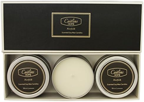 Scented Candles Aromatherapy Soy Wax Candle Perfect Gifts 3 Pack Tin 4oz White Lavender Scent Caitlins Home