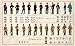 Qudasar American Civil War Poster. Confederate and Union Uniforms, Rank, Buttons. Reproduction. 16.5 X 27 Inches