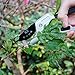 TGY Professional SK-5 Steel Pruning Shears Anvil Hand Pruners Garden Clippers