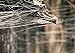 The WEBCASTER Gun Outdoor Halloween Decorations Spider Web Shooter for Indoor/Outdoor Halloween Decor Spiderwebs