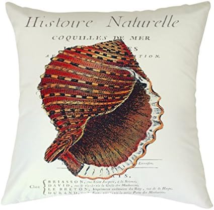 Sea Shell Seashell Clam Beach Decorative Square Zippered Throw Pillow Case Cushion Cover 22 X 22 Inches
