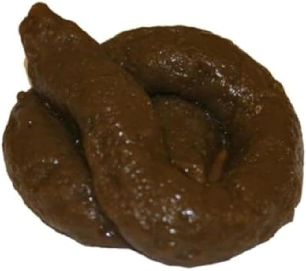 The Little Party Shop Sticky Soft Fake Dog Poo Prank Toy 6x2cm